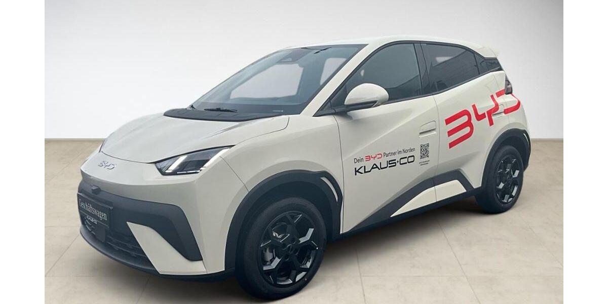 BYD DOLPHIN 3.000 km 25.550 &euro; Flensburg 24941