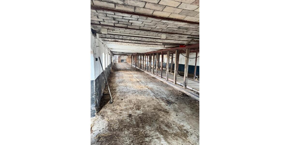 Gewerbeobjekt Flensburg Altstadt - 750&euro; | Angebot:25980668