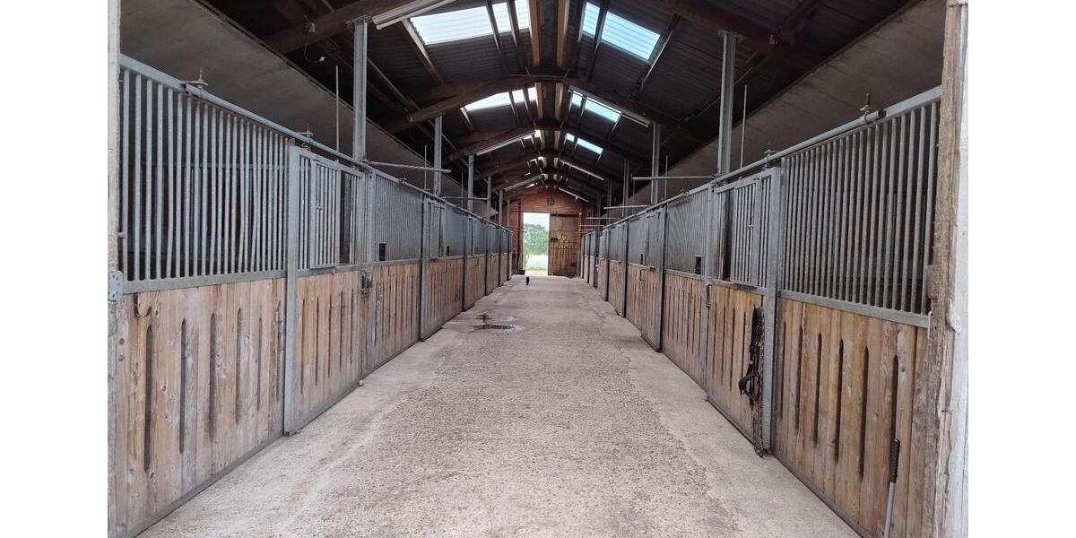 Bauernhaus, Landhaus Handewitt Jarplund - 8 Zimmer, 243 m&sup2;, 2.000.000&euro; | Angebot:24839361