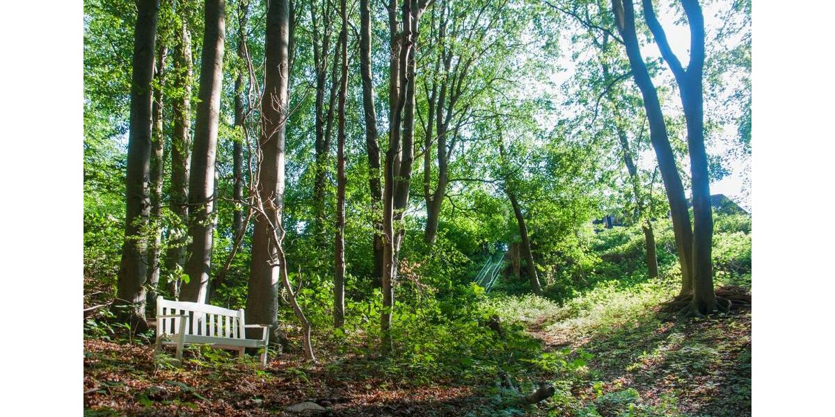 Einfamilienhaus Langballig - 535.000&euro; | Angebot:25650005