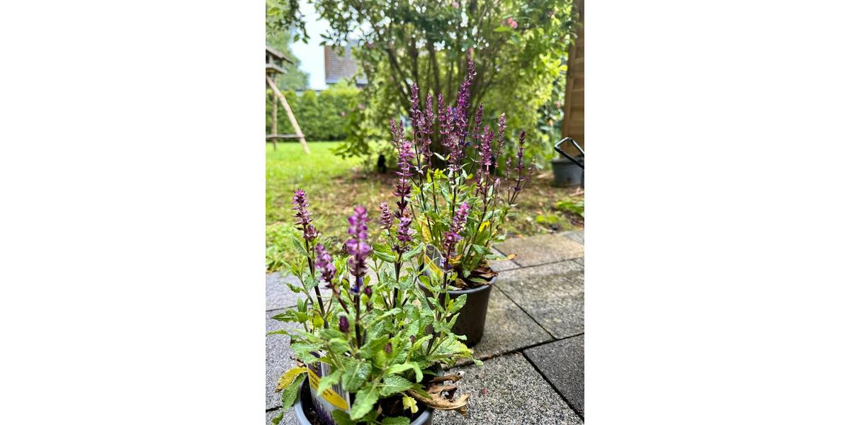 Doppelhaushälfte Handewitt - 3 Zimmer, 90 m&sup2;, 329.000&euro; | Angebot:25285540