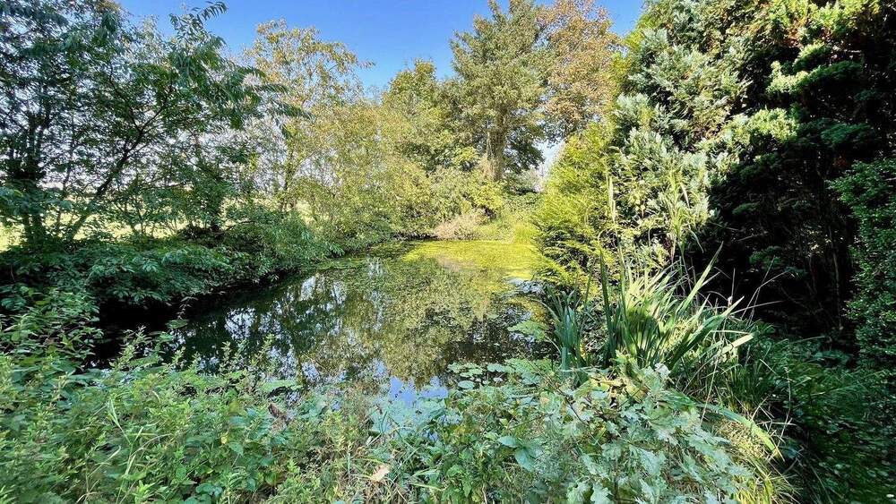 Bauernhaus, Landhaus Schafflund - 1 Zimmer, 328 m&sup2;, 429.000&euro; | Angebot:25731066