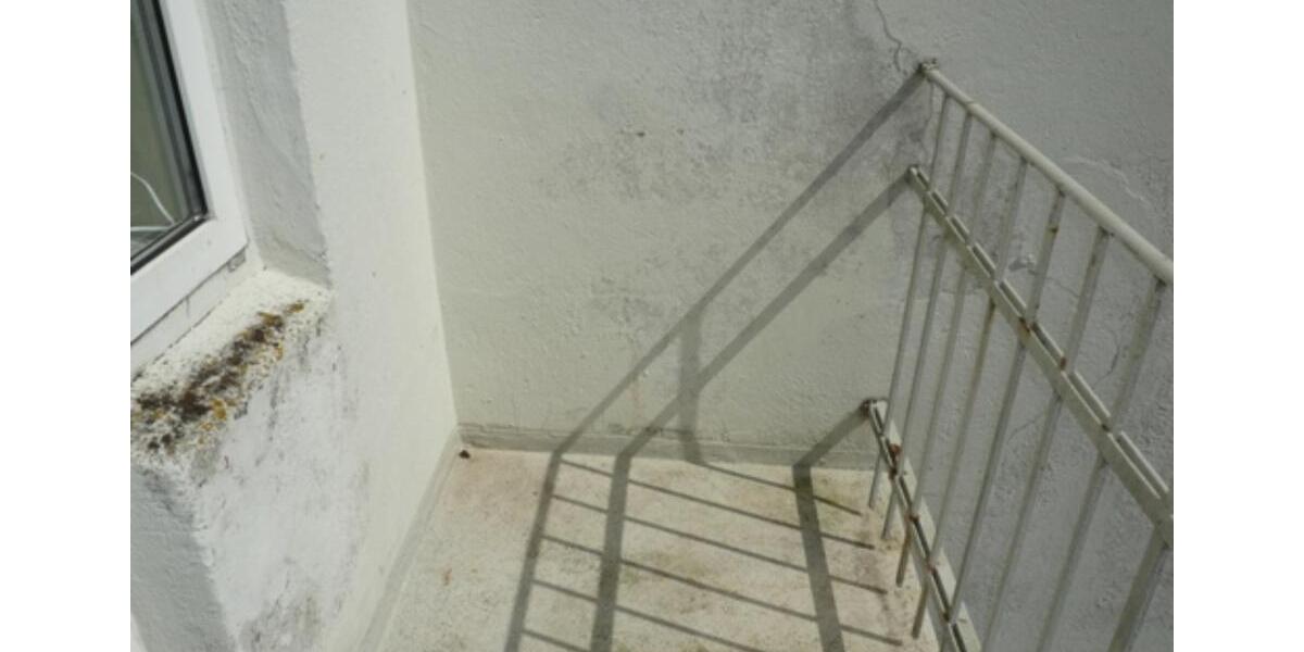Etagenwohnung Flensburg Fruerlund - 4 Zimmer, 101 m&sup2;, 899&euro; | Angebot:23750426