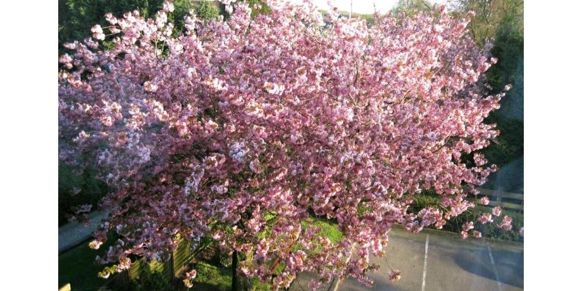 Etagenwohnung Flensburg Fruerlund - 3 Zimmer, 79 m&sup2;, 245.000&euro; | Angebot:25166927