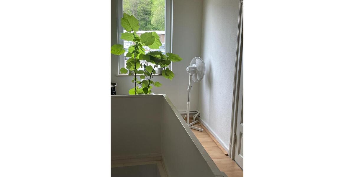 Mehrfamilienhaus, Wohnhaus Havetoft - 8 Zimmer, 220 m&sup2;, 249.000&euro; | Angebot:26623563