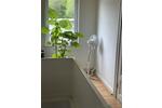 Mehrfamilienhaus, Wohnhaus Havetoft - 8 Zimmer, 220 m&sup2;, 249.000&euro; | Angebot:26623563