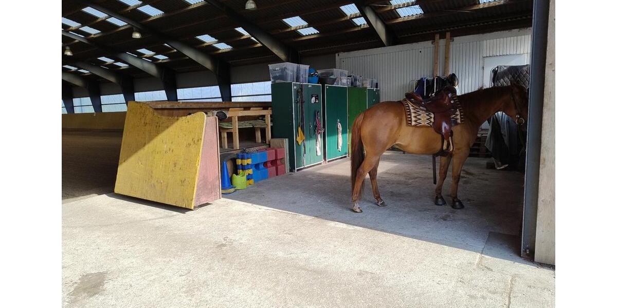 Bauernhaus, Landhaus Handewitt Jarplund - 8 Zimmer, 243 m&sup2;, 2.000.000&euro; | Angebot:24839361