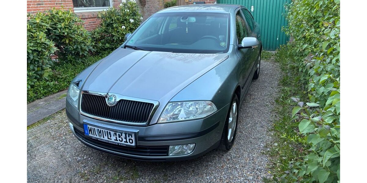 Skoda Octavia 270.000 km 1.990 &euro; Großenwiehe 24969