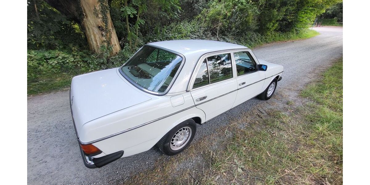 Mercedes-Benz 190 262.878 km 5.099 &euro; Flensburg 24939