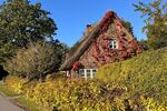 Traumhaftes Reetdach-Ein-Zweifamilienhaus mit parkähnlichem Garten in Angeln - Zweifamilienhaus Scheggerott | Angebot:26565370