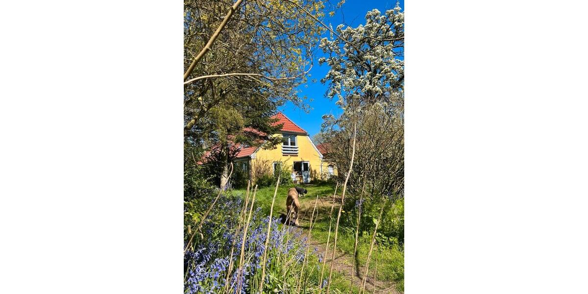 Einfamilienhaus Harrislee - 7 Zimmer, 235 m&sup2;, 208.000&euro; | Angebot:26580085