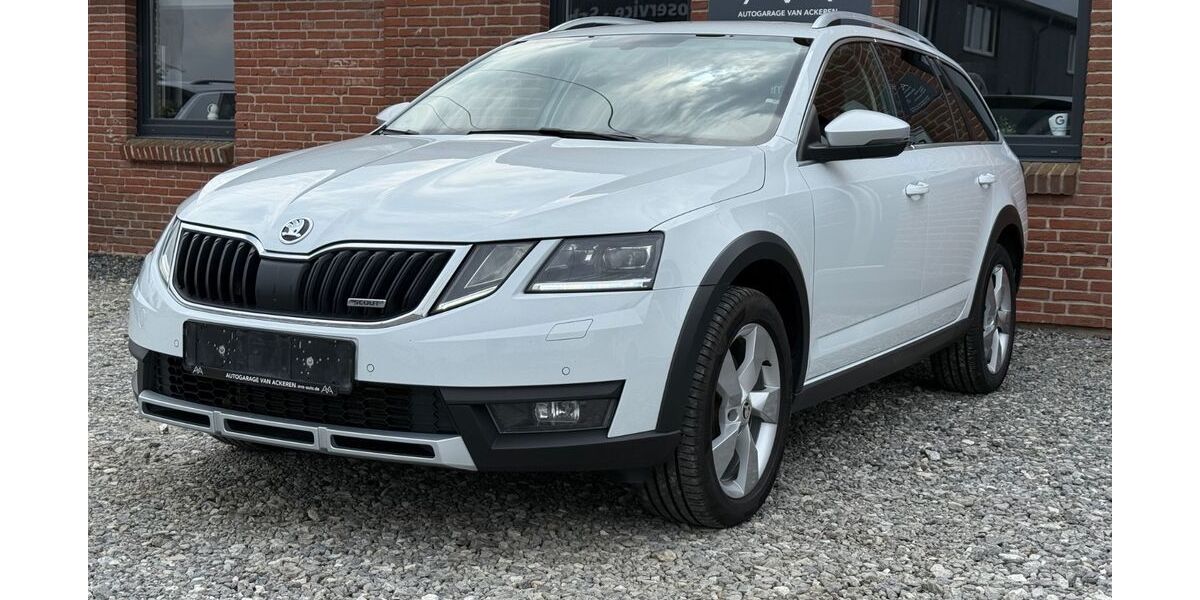 Skoda Octavia 98.300 km 22.980 &euro; Handewitt 24976