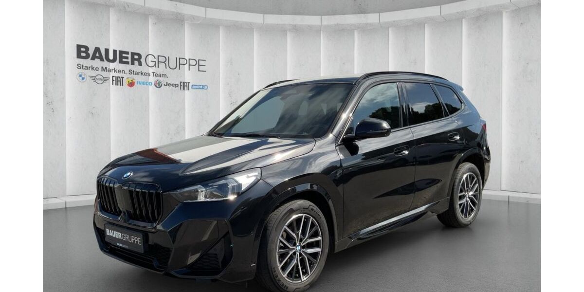 BMW X1 110.716 km 32.430 &euro; Flensburg 24941