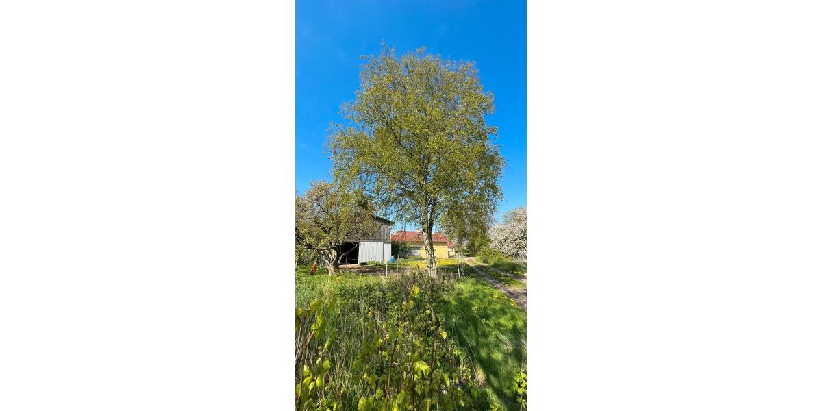 Einfamilienhaus Harrislee - 7 Zimmer, 235 m&sup2;, 208.000&euro; | Angebot:26580085