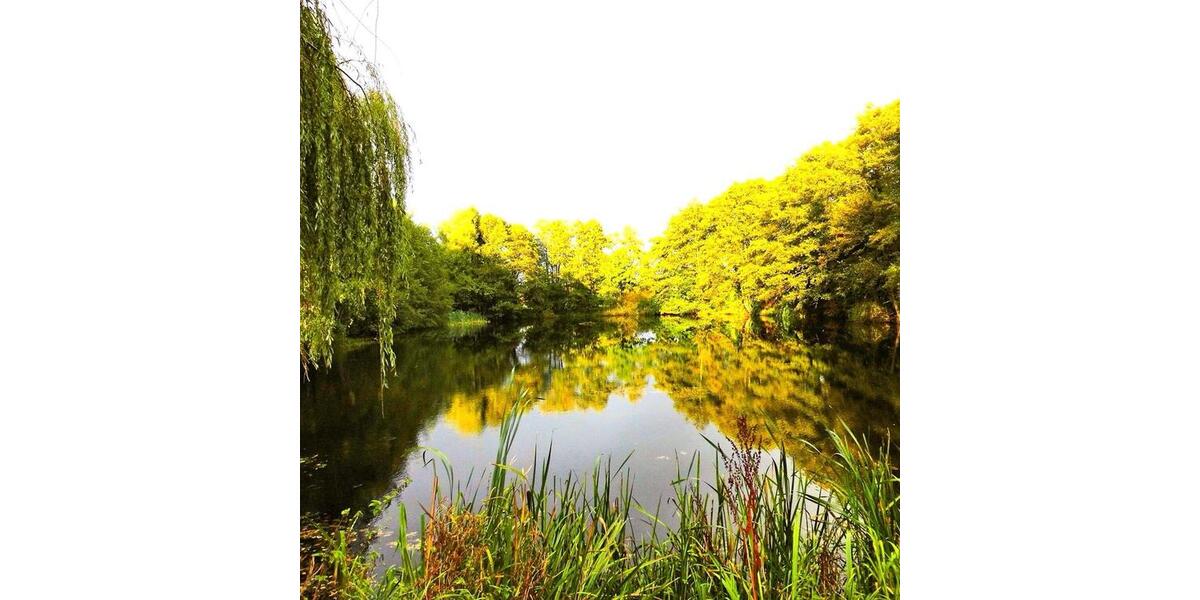 Einfamilienhaus Großenwiehe - 1.850.000&euro; | Angebot:24245323