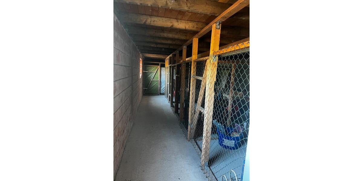 Dachgeschoßwohnung Nübel - 2 Zimmer, 62 m&sup2;, 620&euro; | Angebot:26480955