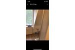 Etagenwohnung Tastrup - 2 Zimmer, 32 m&sup2;, 538&euro; | Angebot:26562036