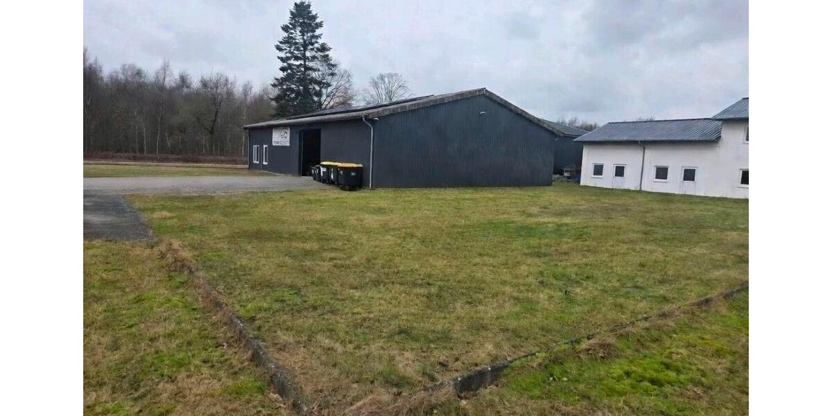 Gewerbeobjekt Handewitt - 624&euro; | Angebot:25658642