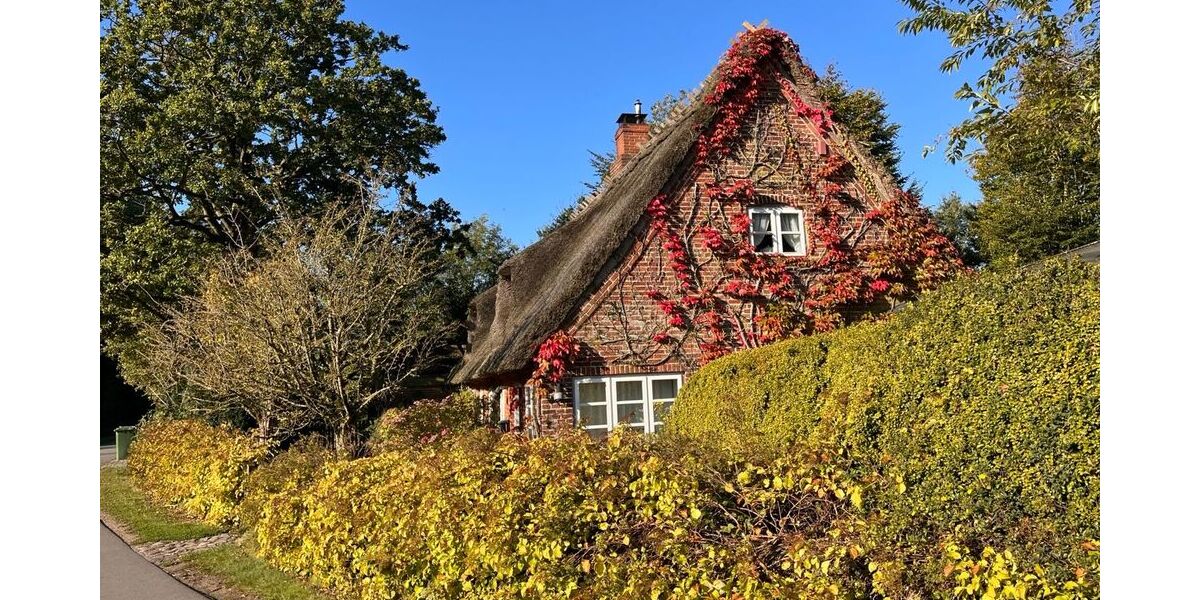 Traumhaftes Reetdach-Ein-Zweifamilienhaus mit parkähnlichem Garten in Angeln - Zweifamilienhaus Scheggerott | Angebot:26565370
