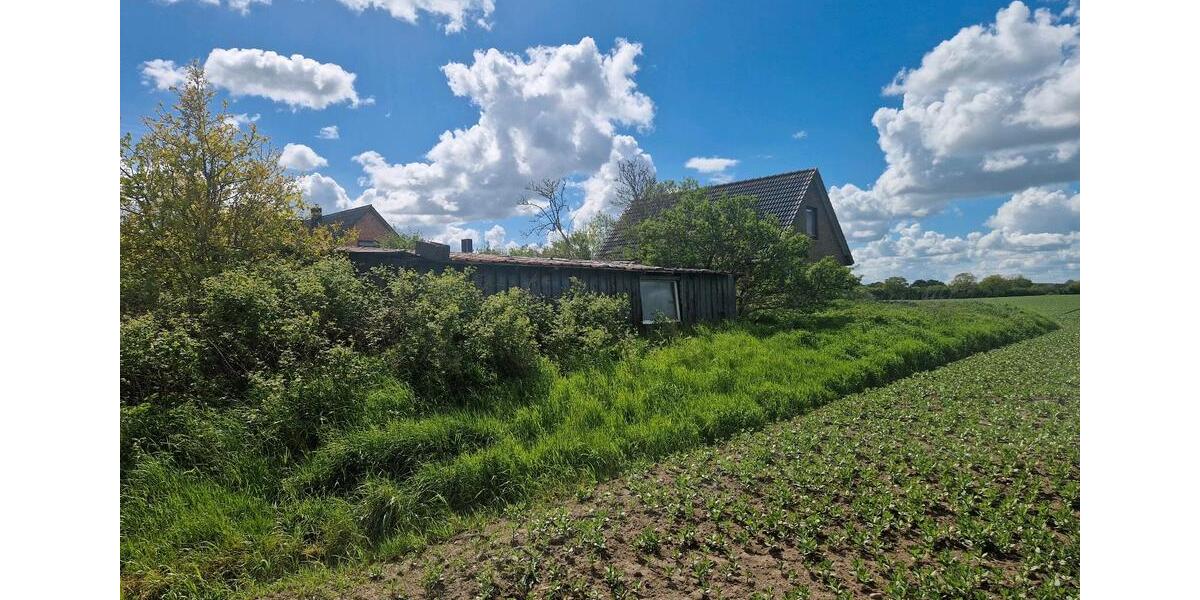 Einfamilienhaus Gelting - 50.000&euro; | Angebot:26619749