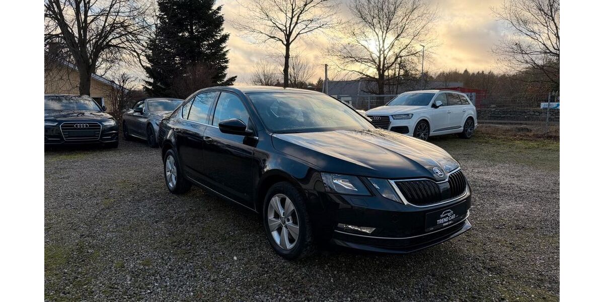 Skoda Octavia 117.000 km 13.900 &euro; Harrislee 24955