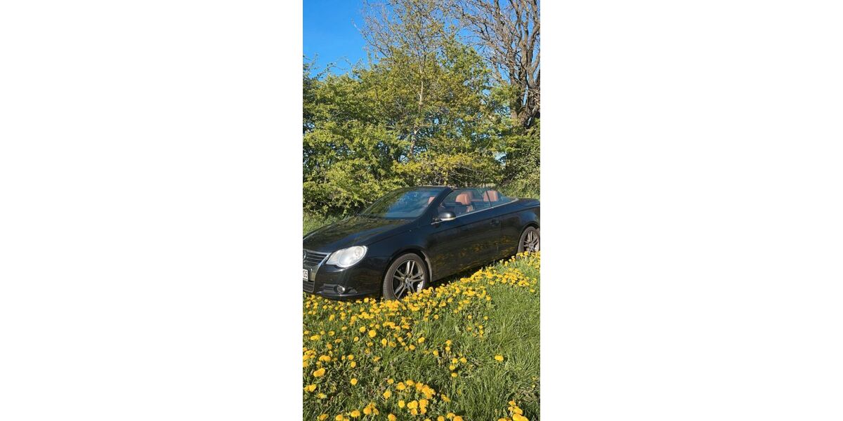 VW Eos 235.000 km 2.700 &euro; Langstedt 24852