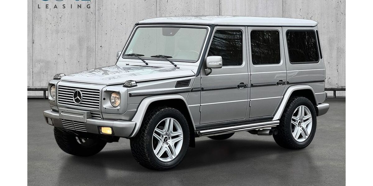 Mercedes-Benz G 400 225.000 km 26.750 &euro; Flensburg OT Mürwik 24944
