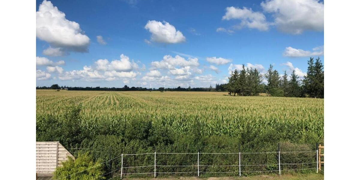 Bauernhaus, Landhaus Högel - 9 Zimmer, 291 m&sup2;, 580.000&euro; | Angebot:25376503