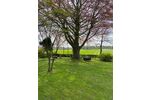 Wer hat Lust auf Natur Entspannung? Wunderschöne EG- Wohnung in Satrup - Appartement Mittelangeln Alt Rehberg | Angebot:26634001