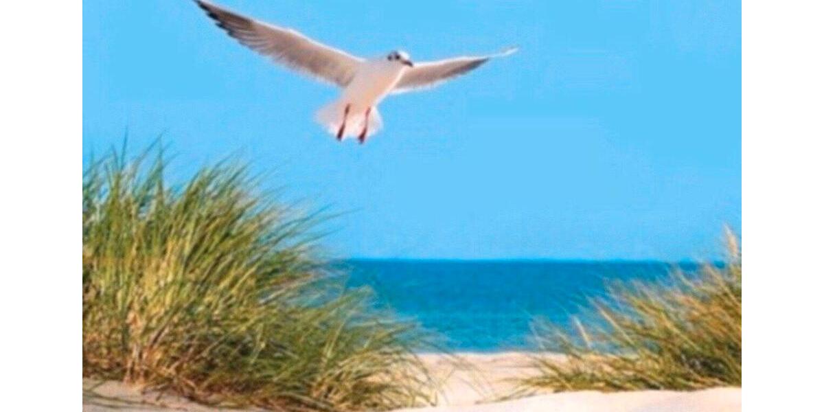 Einfamilienhaus Flensburg Falkenberg - 4 Zimmer, 125 m&sup2;, 520.000&euro; | Angebot:26040231