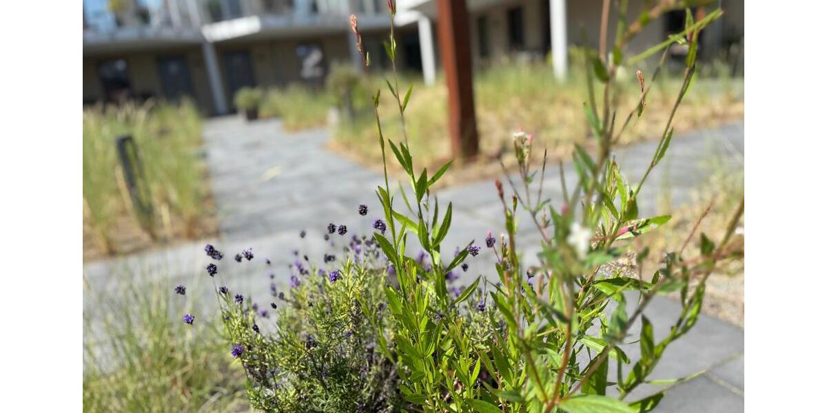 Etagenwohnung Glücksburg (Ostsee) - 3 Zimmer, 85 m&sup2;, 1.190&euro; | Angebot:24533343