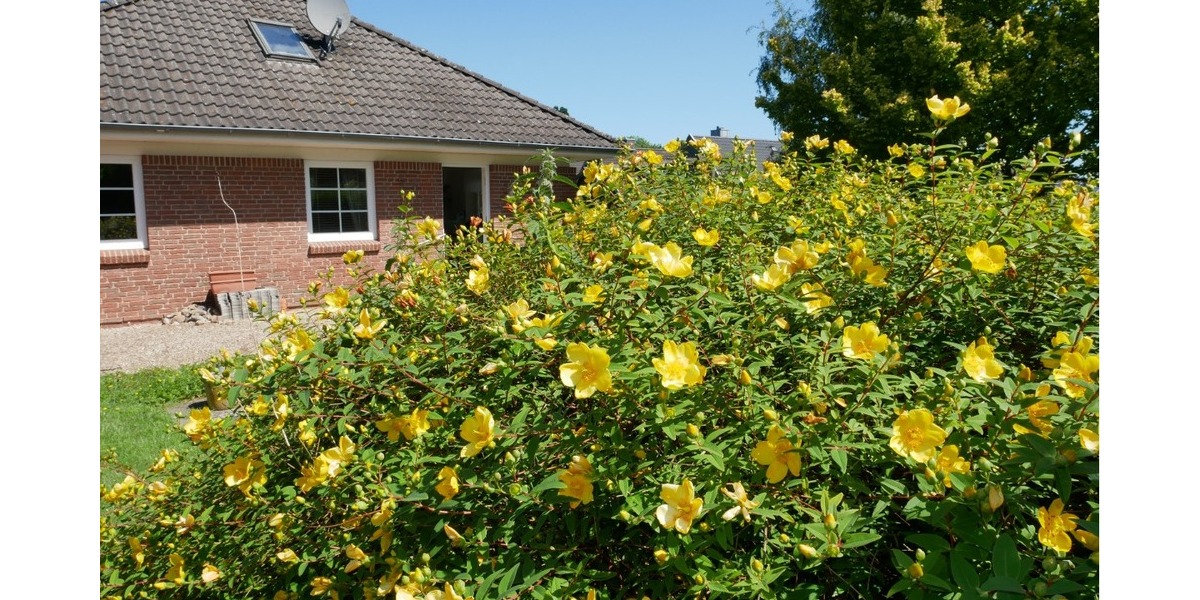 Im schönen Angeln! Gepflegter Bungalow in ruhiger Lage in 24972 Steinbergkirche zu verkaufen. - Einfamilienhaus Steinbergkirche | Angebot:21383723
