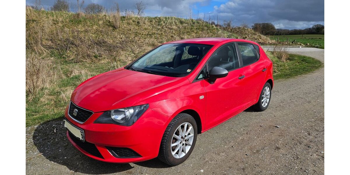 Seat Ibiza 114.100 km 5.700 &euro; Flensburg 24943