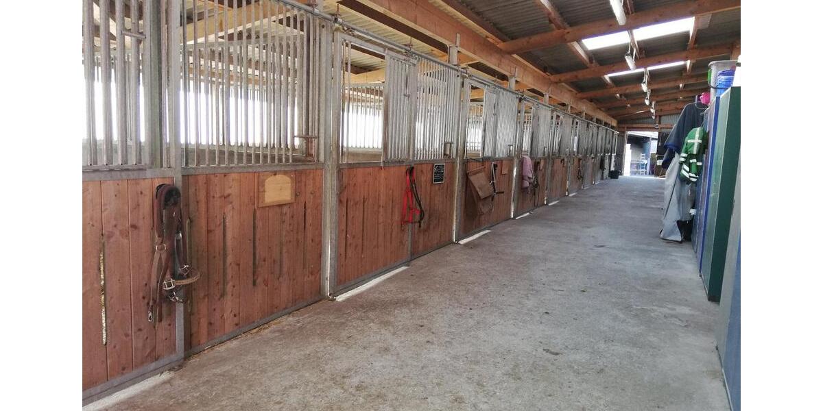 Bauernhaus, Landhaus Handewitt Jarplund - 8 Zimmer, 243 m&sup2;, 2.000.000&euro; | Angebot:24839361