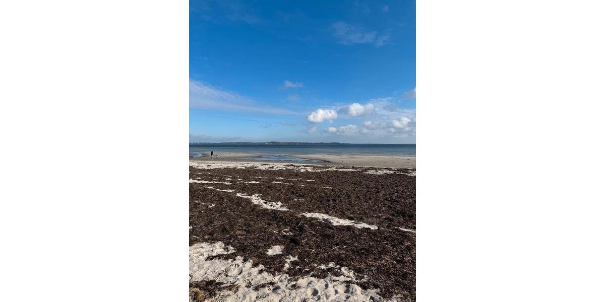 Hochparterre Flensburg - 6 Zimmer, 158 m&sup2;, 1.800&euro; | Angebot:25844674