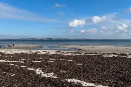 Wohnung Flensburg - 6 Zimmer, 158 m&sup2;, 1.800&euro; | Angebot:25844674