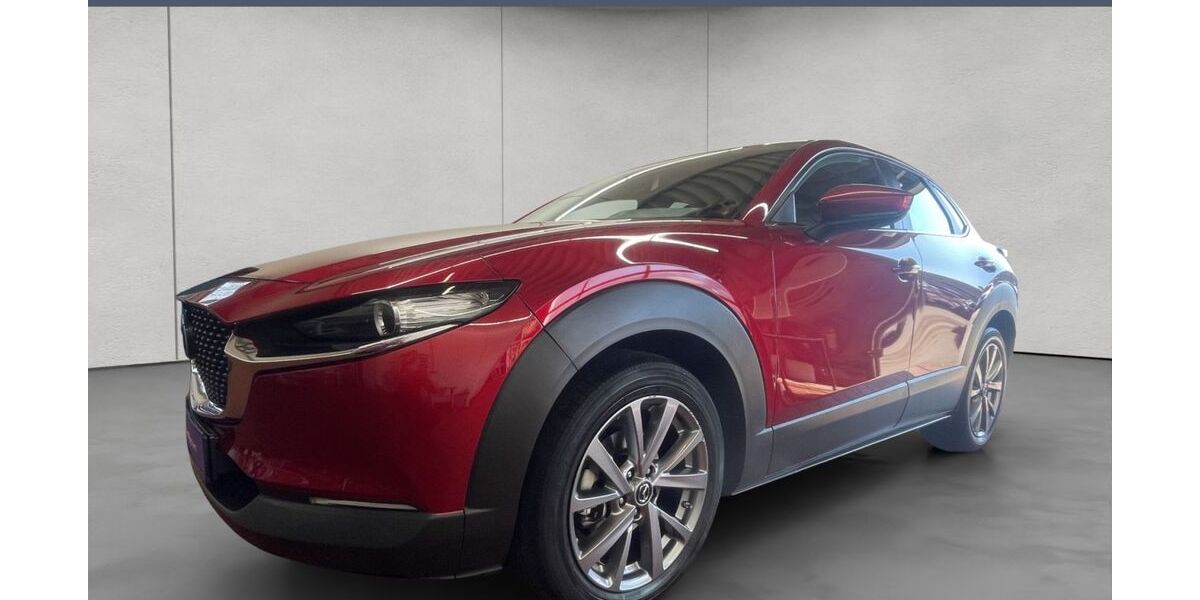 Mazda CX-30 74.900 km 18.280 &euro; Flensburg 24944