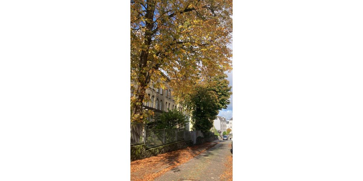 Hochparterre Flensburg Altstadt - 1 Zimmer, 45 m&sup2;, 640&euro; | Angebot:26573158
