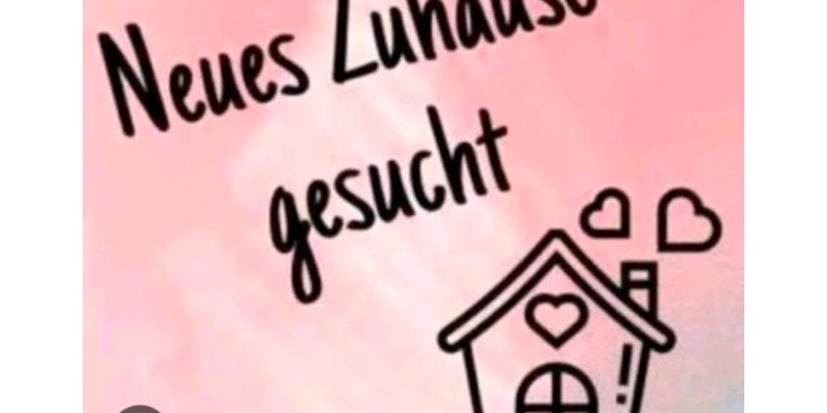 Erdgeschoßwohnung Oeversee - 2 Zimmer, 50 m&sup2;, 426&euro; | Angebot:25170582