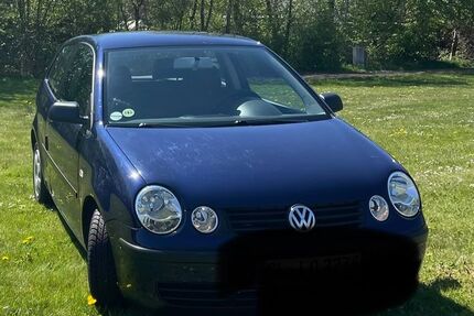 VW Polo 90.931 km 1.500 &euro; Lindewitt 24969