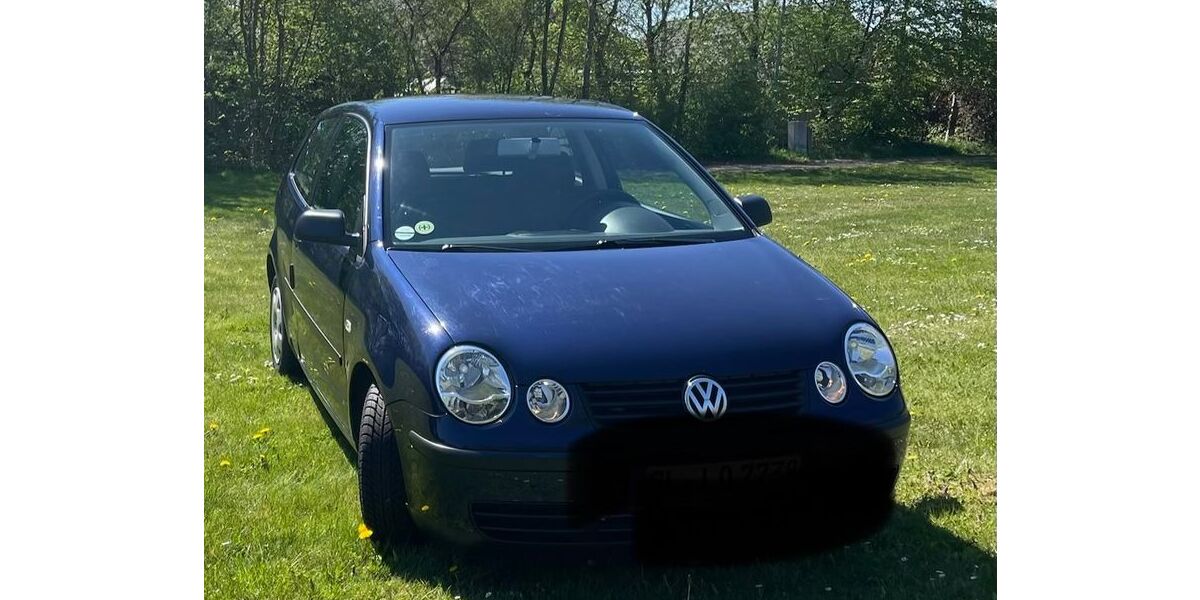 VW Polo 90.931 km 1.500 &euro; Lindewitt 24969
