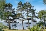 Villa Glücksburg (Ostsee) - 4 Zimmer, 185 m&sup2;, 666.000&euro; | Angebot:26603952