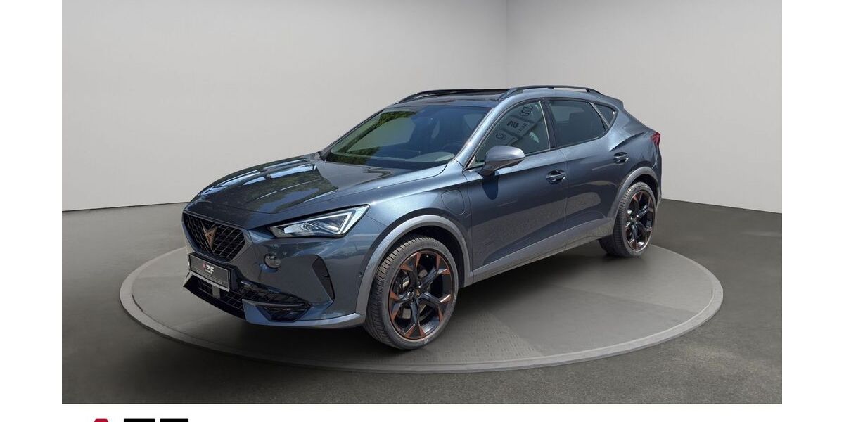 Cupra Formentor 76.160 km 24.280 &euro; Flensburg 24941