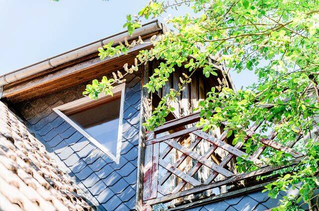 Mehrfamilienhaus, Wohnhaus Flensburg Jürgensby - 7 Zimmer, 178 m&sup2;, 320.000&euro; | Angebot:26683256