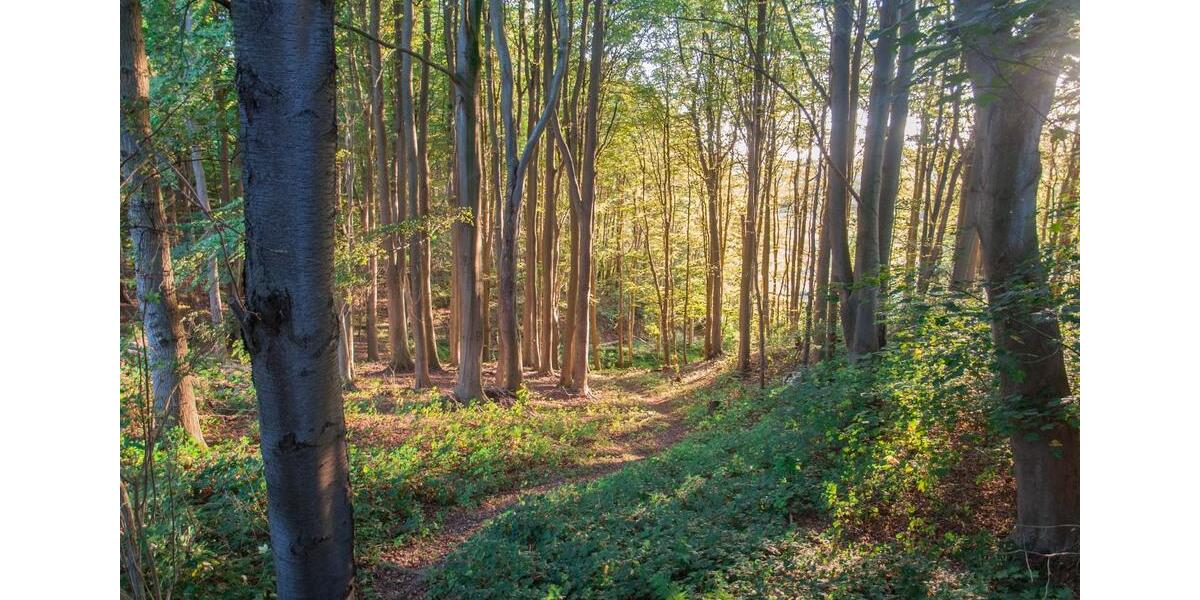 Einfamilienhaus Langballig - 535.000&euro; | Angebot:25650005