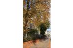 Hochparterre Flensburg Altstadt - 1 Zimmer, 45 m&sup2;, 640&euro; | Angebot:26600620