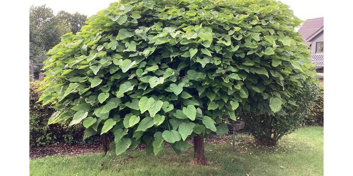 Einfamilienhaus Munkbrarup Rüde - 4 Zimmer, 107 m&sup2;, 275.000&euro; | Angebot:25801649