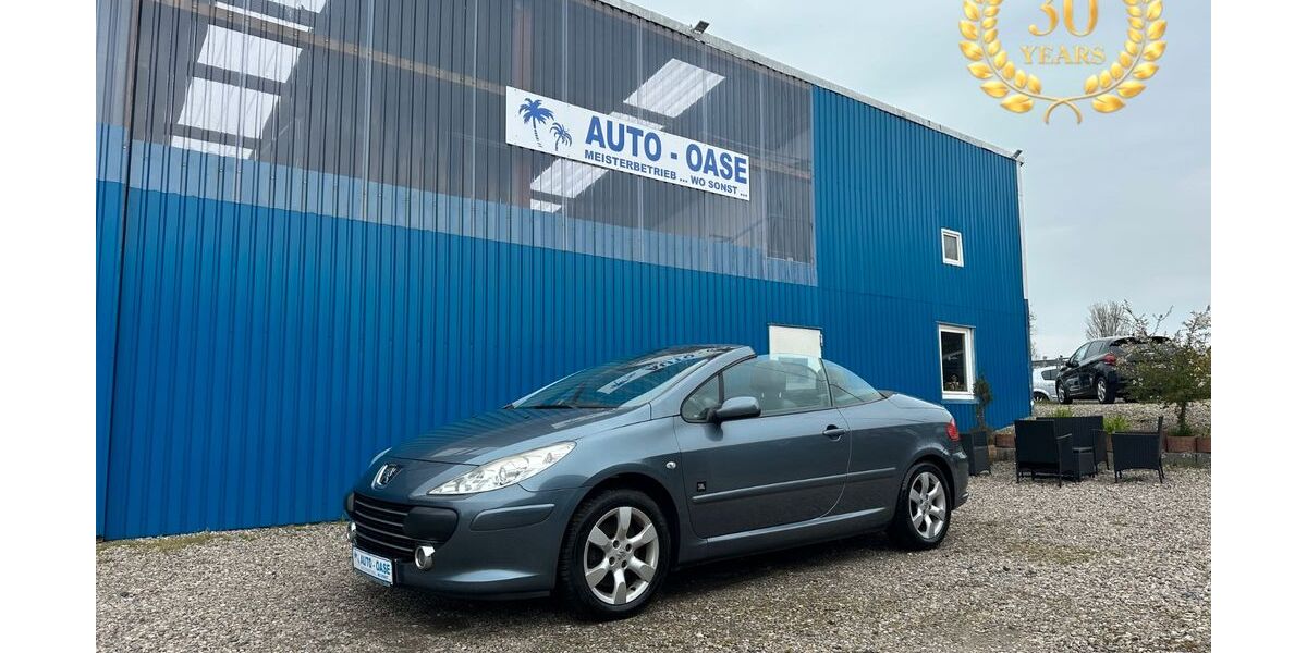 Peugeot 307 161.455 km 4.990 &euro; Flensburg 24941