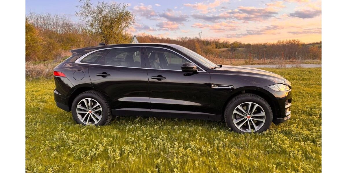 Jaguar F-Pace 149.666 km 17.500 &euro; Flensburg 24943