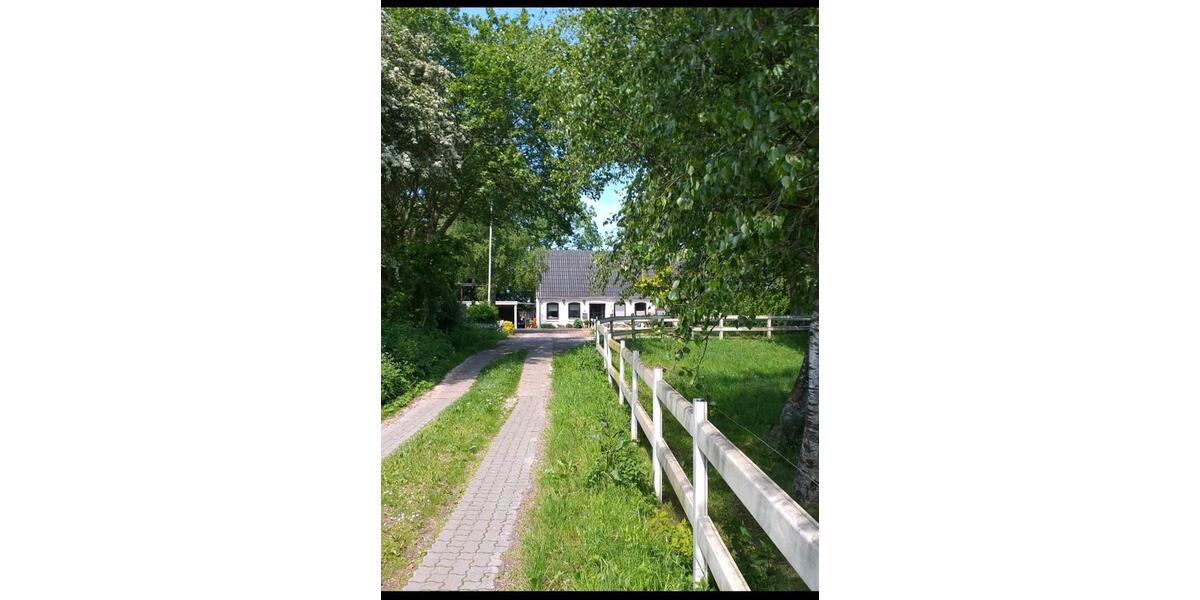 Einfamilienhaus Havetoft - 5 Zimmer, 120 m&sup2;, 1.100&euro; | Angebot:26585055